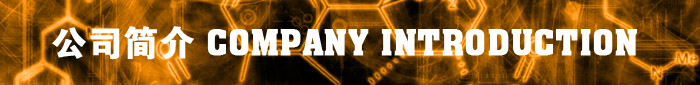 COMPANY INTRODUCTION