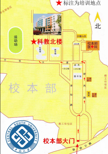no.6map
